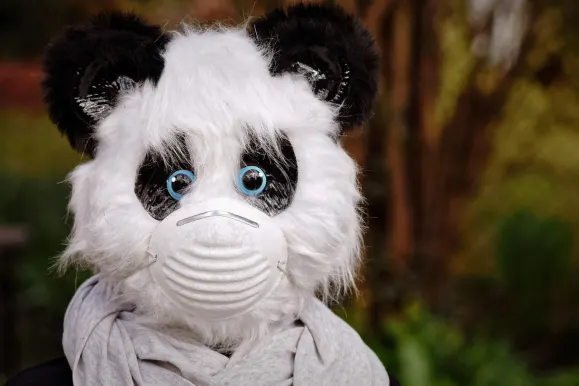 SilverPlay Casino Tacaíocht